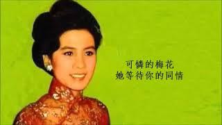 梅花 - 王幸玲 Wang Sing Ling