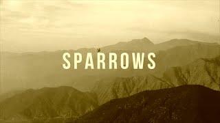 Jason Gray - "Sparrows (Acoustic)" [Official Lyric Video]