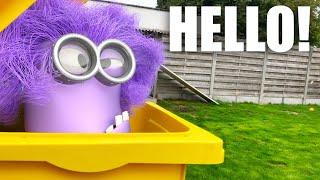  Purple Minion in Real Life  *MUST SEE FUNNY*