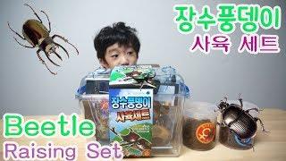 장수풍뎅이 사육 세트안에는 어떤것들이 들어있을까?  What is included in the rhinoceros beetle breeding set?