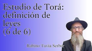 Torá para Bnei Noaj #109 - Estudio de Torá: definición de leyes (6 de 6)