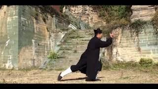 Wu Dang San Feng Tai Chi 28 Steps by Grandmaster Zhong Yun Long