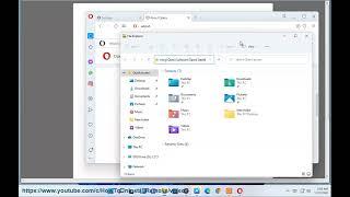 Backup Opera Bookmarks, Data, Passwords, History, Extensions on Windows 11/10/8 (2023 Updated)