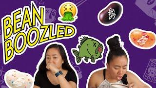 Bean Boozled Challenge | Nasty Jelly Beans Challenge | Twins Try