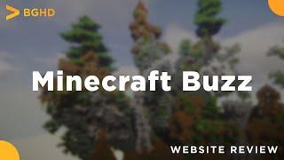 MinecraftBuzz - Website Review