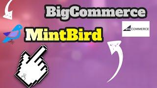 Which is a Better E-commerce Platform: BigCommerce vs  MintBird? #MintBird