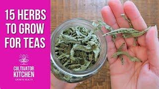 15 Herbs I Grow for Teas! Frugal Healthy Living 