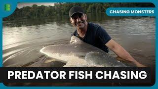 Jungle Fish Thrills! - Chasing Monsters - Fishing Show