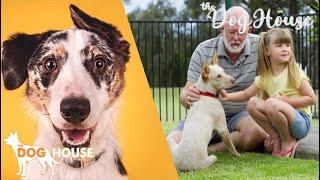 The Dog House Australia - Season 2 Episode 1