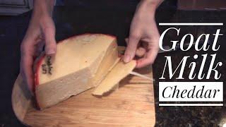 Goat Milk Cheddar - Cheesemaking at Home