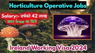 Ireland working visa for nepali || Ireland work permit visa 2025