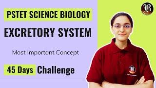 Excretory System  | PSTET Science Preparation | Paper-2 Biology | PSTET Science Biology Coaching