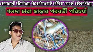 Scampi shrimp culture after seed stockings || PABITRA DAS Technical Expert || @pabitradas010