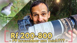 Kann das Canon RF 200-800 am Teich abliefern, mit F9???