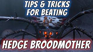 Defeating Broodmother: The Ultimate Guide | Updated 2023#grounded #groundedtips