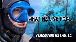 EPIC Canadian Spearfishing!  #britishcolumbia