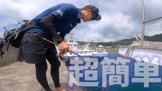 【簡単！誰でも釣れる！】超お手軽な堤防ルアー釣り