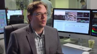 Instructor Igor Torgeson Reviews New York Film Academy's Digital Editing School