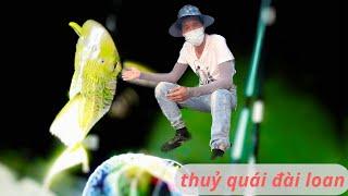 Cầu đài : thuỷ quái đài loan / atrư vlog