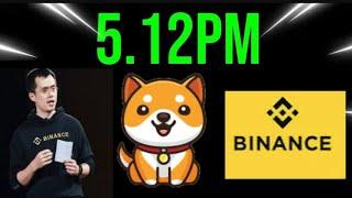 Baby Dogecoin News Today | Burning | BabyDoge Coin Price Pump | Binance Listing