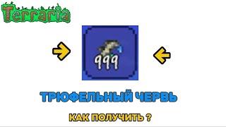 Трюфельный червь как получить? гайд |TERRARIA |