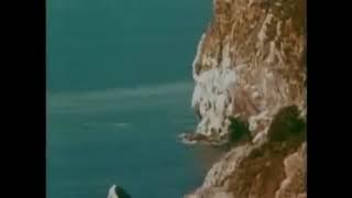 Lemmings Jumping off Cliffs