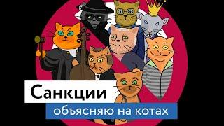 Санкции: объясняю на котах | Коты Ходорковского