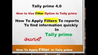 How To Use Filter Option In Tally Prime | How To Apply Filters To Reports In Tally prime In Telugu