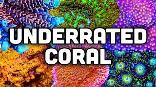 Ten Top Shelf Underrated Corals! Farm Grown, Vibrant Colors, and More!