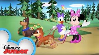 A Walk in the Park | Minnie's Bow-Toons | @disneyjr