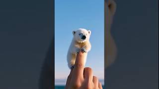 Tiny mini polar bear adventure ️#cat #tiny #adoreable #furry