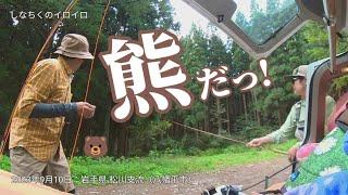 準備中、クマがこっちに向かってきたフライフィッシング（2023年9月10日：岩手県八幡平市 松川支流）