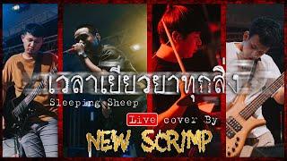 เวลาเยียวยาทุกสิ่ง - Sleeping Sheep (Live Band Cover)