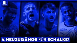 Gestandener Stürmer gesucht! Diese 4 Angreifer können Schalke sofort weiterhelfen! | S04 Analyse