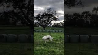 ️Hoy nos vamos de Paseo por la Comarca de La Sidra en Villaviciosa. Estamos en Asturias️