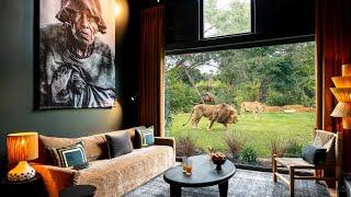 Safari Suite - Séjournez face aux lions et aux guépards au Zoo de La Flèche