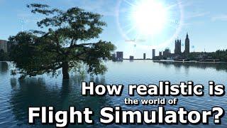 Flight Simulator - How Realistic is the Base Game's World?