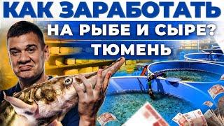 Как зарабатывают фермеры в Сибири? Сыроварня и рыбный бизнес в селе | Андрей Даниленко в Тюмени