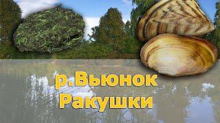 Дрейссена и Перловица • р.Вьюнок • Русская рыбалка 4 •