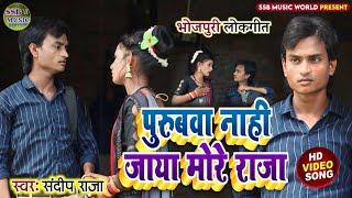 #video | Purubwa Nahi Jaya More Raja | Kaharwa Geet | #shailendra_gaur_azamgarh | #sandeep_raja