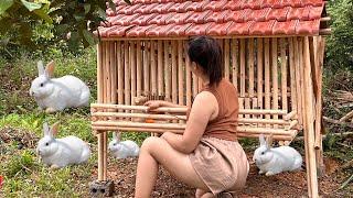 How to Build a Wooden House for Rabbits 2024- Farm, animals.