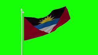 Antigua and Barbuda Flag Green SCREEN Close and Long Shots