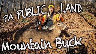 PUBLIC LAND PA Mountain Buck (PA Rifle Hunting 2024)