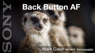Back Button Focus for Sony Alpha Cameras