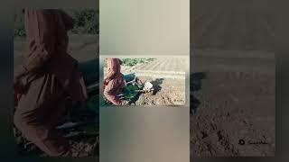 Funny Pakistani Bike . Pakistani Jugar | Desi jugar | desi jugaad |pakistani jugaad #funnyjugaad