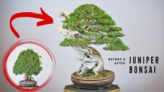 Juniper Bonsai Pad Creation | Bonsai-U