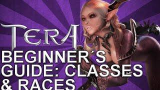 Tera Beginner's Guide: Classes & Races | PVP DOMINUS | 2015