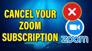 How To Cancel Zoom Subscription 2024 - Full Guide