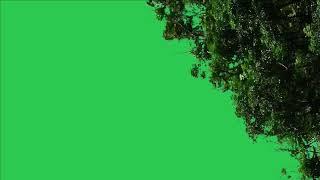 Tree green screen video, Green screen tree, tree green screen effect kinemaster, P-38