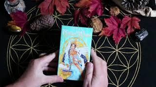 Mes Tarots colorés préférés du moment #vlog #tarot #rider_waite